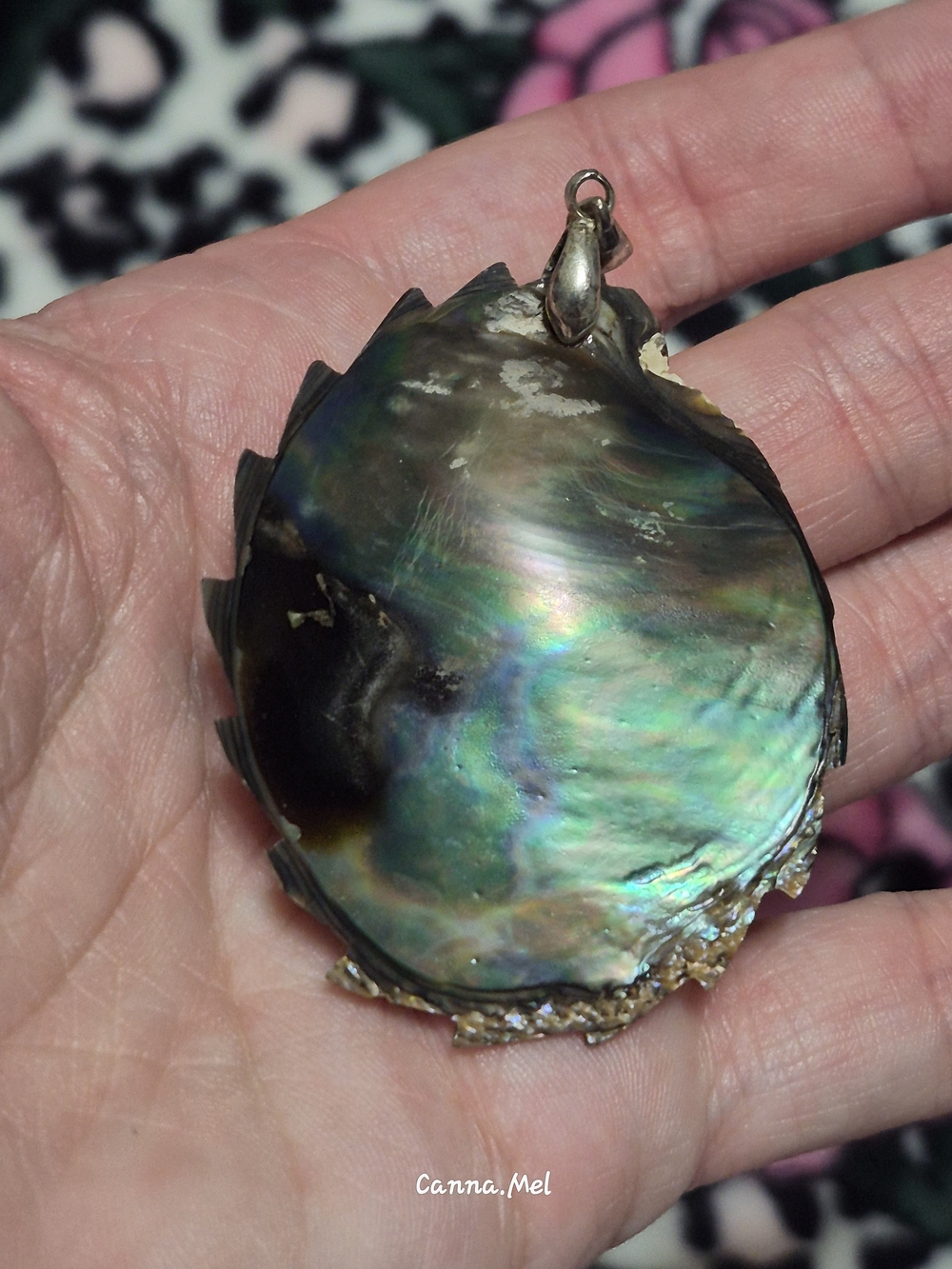 Abalone Shell Pendant - Picture 2 of 4